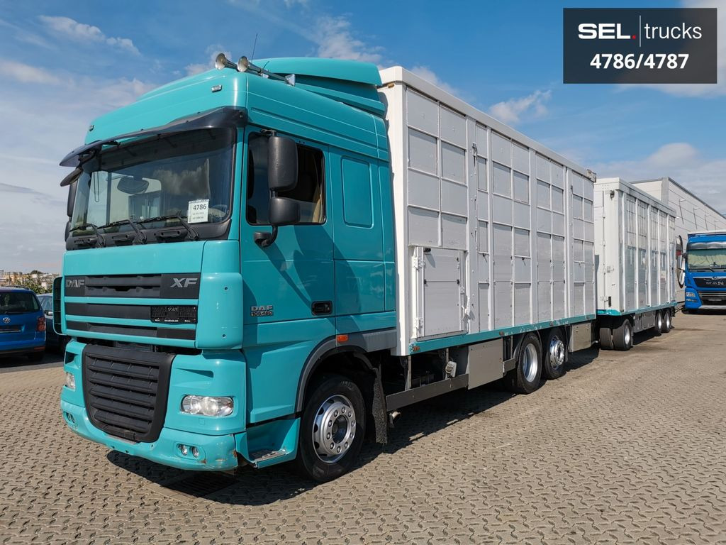 DAF XF 105.460 / Intarder / 4 Stock / KOMPLETT ! - Для перевезення худоби вантажівка: фото 2 DAF XF 105.460 / Intarder / 4 Stock / KOMPLETT ! - Для перевезення худоби вантажівка: фото 2