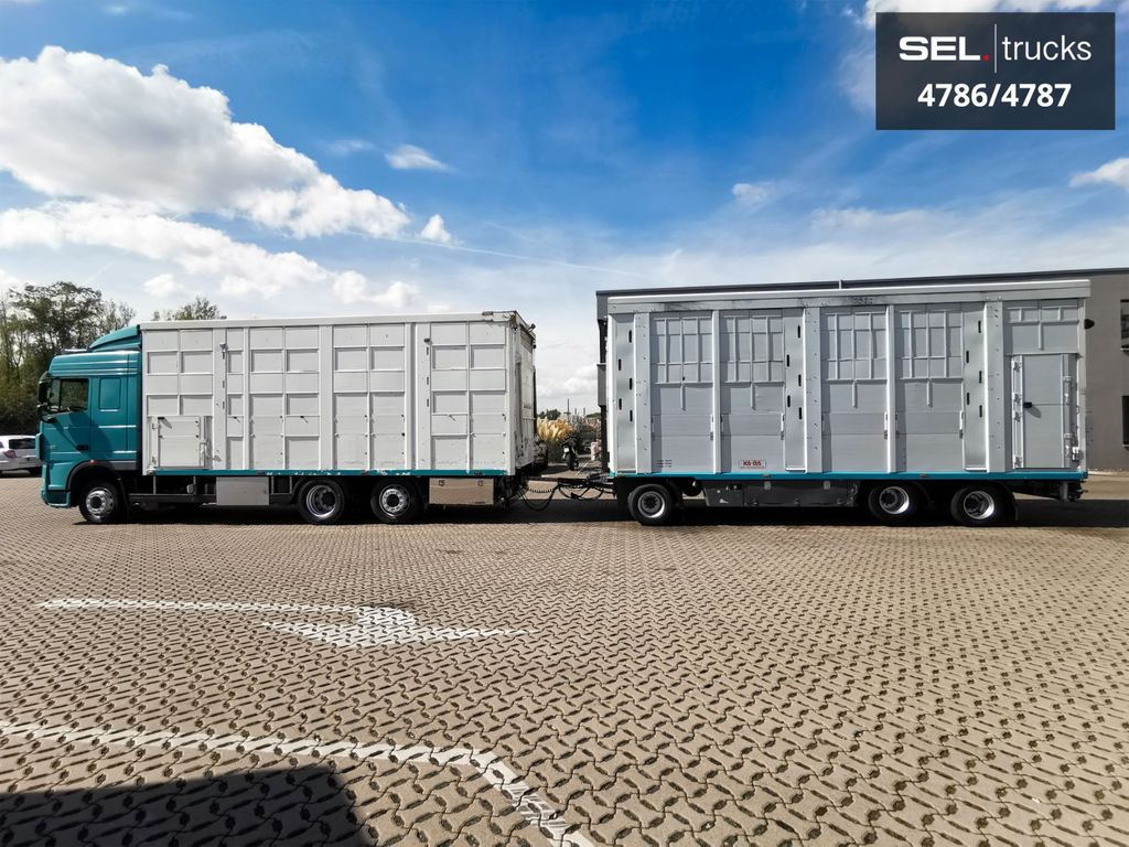 DAF XF 105.460 / Intarder / 4 Stock / KOMPLETT ! - Для перевезення худоби вантажівка: фото 1 DAF XF 105.460 / Intarder / 4 Stock / KOMPLETT ! - Для перевезення худоби вантажівка: фото 1