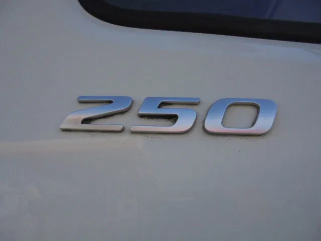 Вантажівка з закритим кузовом DAF CF 250 FA LOW KM NL TRUCK: фото 18