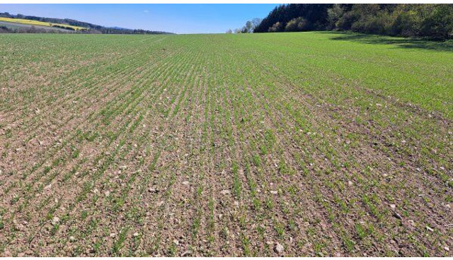 Farmet Falcon 6 PRO Fert+ - Посівний комплекс: фото 3 Farmet Falcon 6 PRO Fert+ - Посівний комплекс: фото 3