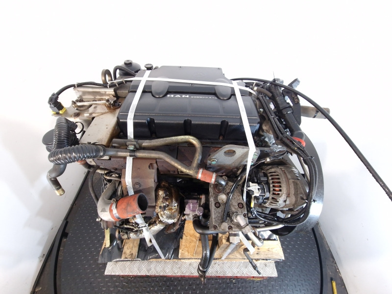 Двигун в категорії Вантажівки MAN D0834 LFL67 Engine (Truck): фото 11
