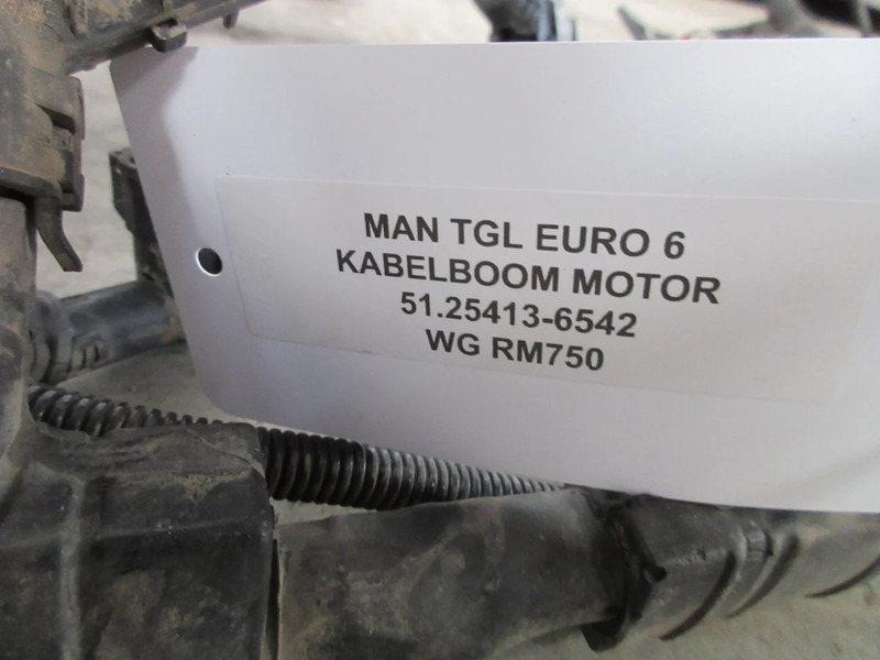 MAN 51.25413-6542 KABELBOOM MAN TGL TGM EURO 6 - Електрична система в категорії Вантажівки: фото 3 MAN 51.25413-6542 KABELBOOM MAN TGL TGM EURO 6 - Електрична система в категорії Вантажівки: фото 3