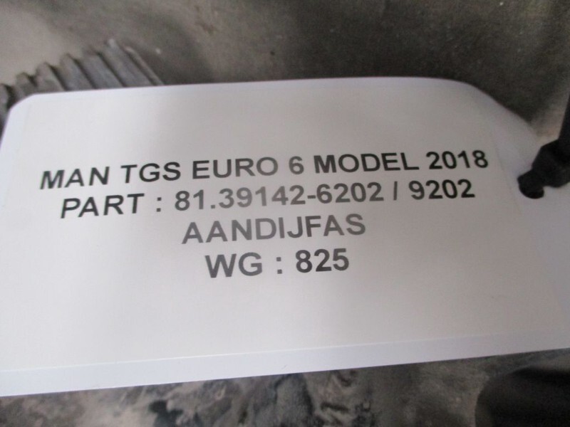 MAN TGS 81.39142-6202 / 9202 AANDRIJFAS EURO 6 MODEL 2019 - Піввісь в категорії Вантажівки: фото 2 MAN TGS 81.39142-6202 / 9202 AANDRIJFAS EURO 6 MODEL 2019 - Піввісь в категорії Вантажівки: фото 2