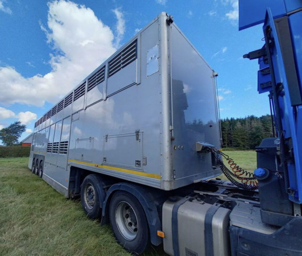 Gray and Adams Gadd3 / Works Great / Hydraulic / 2 Levels - Для перевезення худоби напівпричіп: фото 4 Gray and Adams Gadd3 / Works Great / Hydraulic / 2 Levels - Для перевезення худоби напівпричіп: фото 4