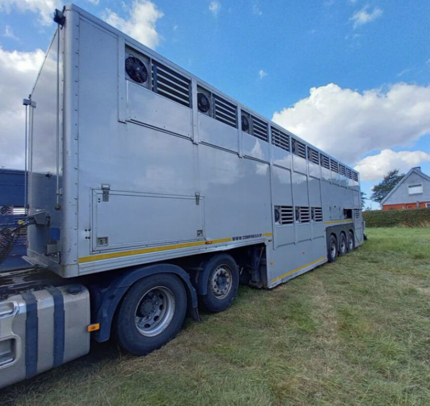 Gray and Adams Gadd3 / Works Great / Hydraulic / 2 Levels - Для перевезення худоби напівпричіп: фото 5 Gray and Adams Gadd3 / Works Great / Hydraulic / 2 Levels - Для перевезення худоби напівпричіп: фото 5