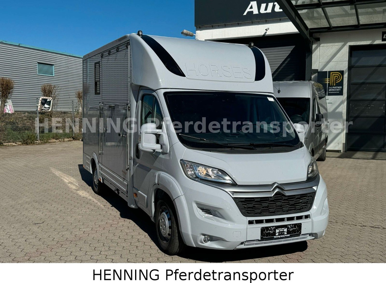 Citroën Jumper 3 - Sitzer *AUFBAU NEU* - Коневоз: фото 2 Citroën Jumper 3 - Sitzer *AUFBAU NEU* - Коневоз: фото 2