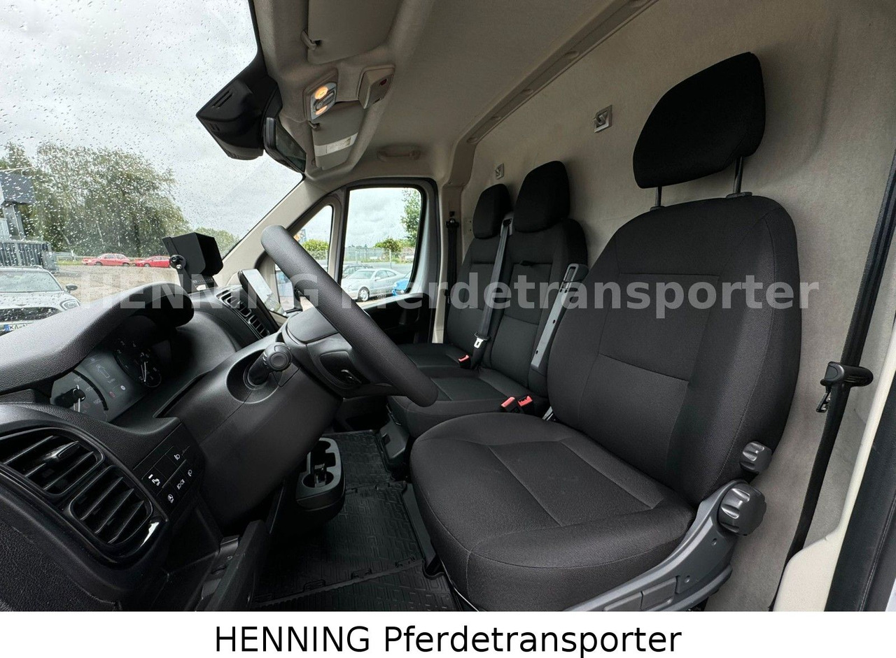 Для перевезення худоби вантажівка Peugeot Boxer 3 - Sitzer *GROSSE SATTELKAMMER*: фото 16