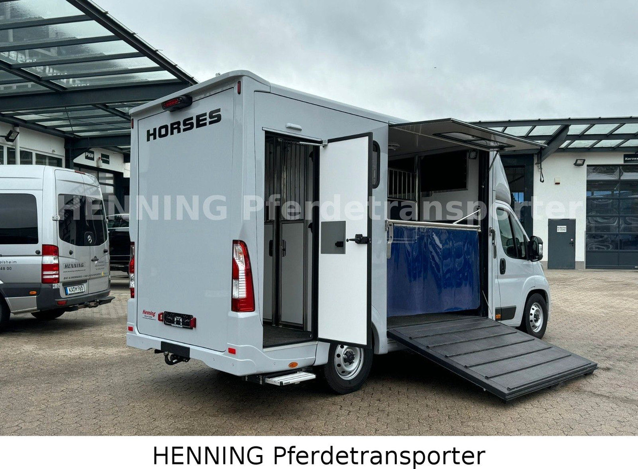 Peugeot Boxer 3 - Sitzer *GROSSE SATTELKAMMER* - Для перевезення худоби вантажівка: фото 4 Peugeot Boxer 3 - Sitzer *GROSSE SATTELKAMMER* - Для перевезення худоби вантажівка: фото 4