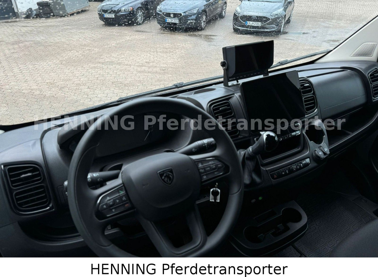 Для перевезення худоби вантажівка Peugeot Boxer 3 - Sitzer *GROSSE SATTELKAMMER*: фото 17