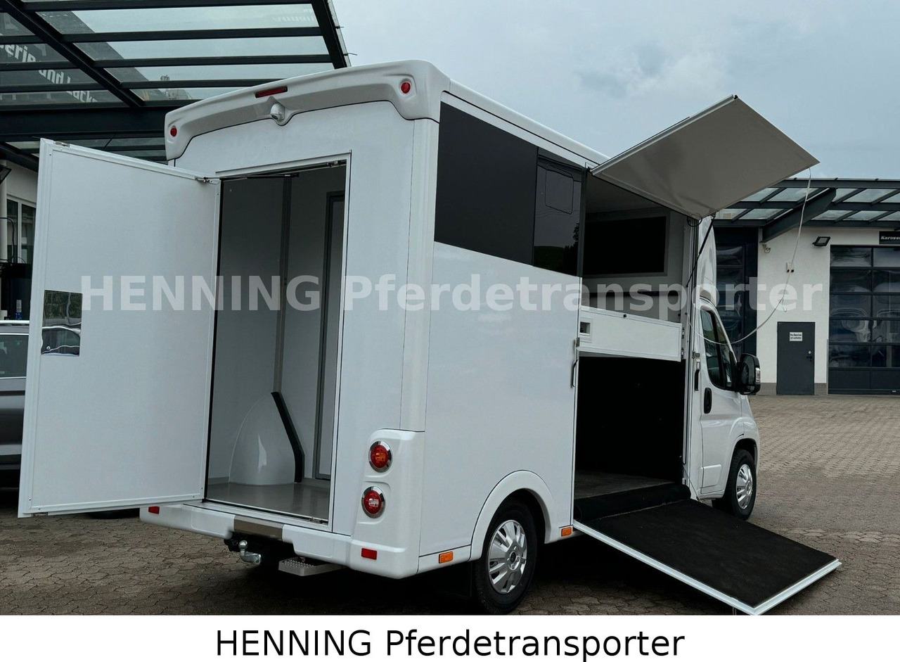 Peugeot Boxer *NEUWAGEN* ca. 1.200kg Nutzlast - Для перевезення худоби вантажівка: фото 4 Peugeot Boxer *NEUWAGEN* ca. 1.200kg Nutzlast - Для перевезення худоби вантажівка: фото 4