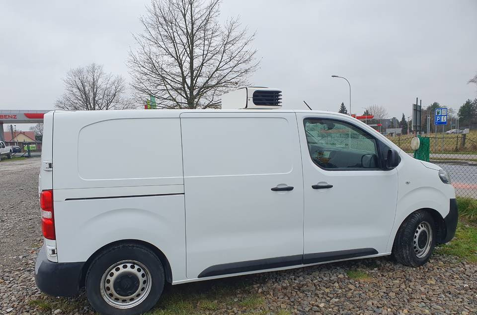 Citroen JUMPY CHLODNIA MROZNIA CARRIER+230V KLIMA EURO6 - Фургон-рефрижератор: фото 5 Citroen JUMPY CHLODNIA MROZNIA CARRIER+230V KLIMA EURO6 - Фургон-рефрижератор: фото 5