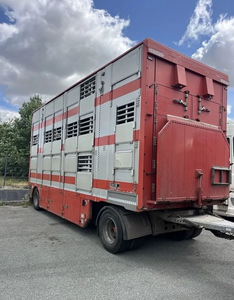 DAF XF 460 + Przyczepa Pezzaoli - 3X Trzoda, 2 X Bydło I 3 poziomy I Podnoszony dach I Hydroburta I Osie Skrętne I Poidła I Wentylatory I Pilot Manualny | Euro5 - Для перевезення худоби вантажівка: фото 3 DAF XF 460 + Przyczepa Pezzaoli - 3X Trzoda, 2 X Bydło I 3 poziomy I Podnoszony dach I Hydroburta I Osie Skrętne I Poidła I Wentylatory I Pilot Manualny | Euro5 - Для перевезення худоби вантажівка: фото 3