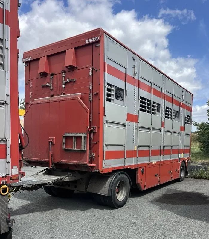 DAF XF 460 + Przyczepa Pezzaoli - 3X Trzoda, 2 X Bydło I 3 poziomy I Podnoszony dach I Hydroburta I Osie Skrętne I Poidła I Wentylatory I Pilot Manualny | Euro5 - Для перевезення худоби вантажівка: фото 4 DAF XF 460 + Przyczepa Pezzaoli - 3X Trzoda, 2 X Bydło I 3 poziomy I Podnoszony dach I Hydroburta I Osie Skrętne I Poidła I Wentylatory I Pilot Manualny | Euro5 - Для перевезення худоби вантажівка: фото 4