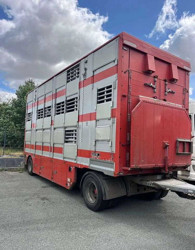 DAF XF 530 + Przyczepa Pezzaoli - 3X Trzoda, 2 X Bydło I 3 poziomy I Podnoszony dach I Hydroburta I Osie Skrętne I Poidła I Wentylatory I Pilot Manualny | - Для перевезення худоби вантажівка: фото 4 DAF XF 530 + Przyczepa Pezzaoli - 3X Trzoda, 2 X Bydło I 3 poziomy I Podnoszony dach I Hydroburta I Osie Skrętne I Poidła I Wentylatory I Pilot Manualny | - Для перевезення худоби вантажівка: фото 4