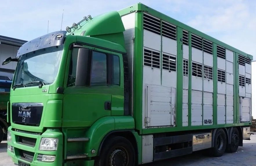 MAN TGS 26.440 ZABUDOWA KABA CAŁA ALUMINIOWA– samochód do transportu zwierząt/koni – 3 pokłady / EURO 5/6X2/PODNOSZONY DACH - Для перевезення худоби вантажівка: фото 1 MAN TGS 26.440 ZABUDOWA KABA CAŁA ALUMINIOWA– samochód do transportu zwierząt/koni – 3 pokłady / EURO 5/6X2/PODNOSZONY DACH - Для перевезення худоби вантажівка: фото 1