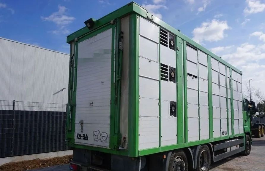 MAN TGS 26.440 ZABUDOWA KABA CAŁA ALUMINIOWA– samochód do transportu zwierząt/koni – 3 pokłady / EURO 5/6X2/PODNOSZONY DACH - Для перевезення худоби вантажівка: фото 2 MAN TGS 26.440 ZABUDOWA KABA CAŁA ALUMINIOWA– samochód do transportu zwierząt/koni – 3 pokłady / EURO 5/6X2/PODNOSZONY DACH - Для перевезення худоби вантажівка: фото 2