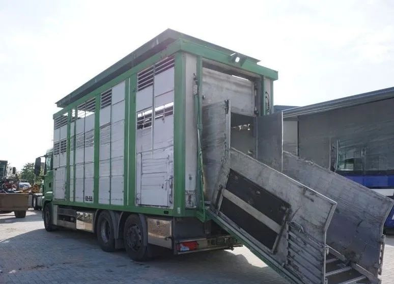 MAN TGS 26.440 ZABUDOWA KABA CAŁA ALUMINIOWA– samochód do transportu zwierząt/koni – 3 pokłady / EURO 5/6X2/PODNOSZONY DACH - Для перевезення худоби вантажівка: фото 4 MAN TGS 26.440 ZABUDOWA KABA CAŁA ALUMINIOWA– samochód do transportu zwierząt/koni – 3 pokłady / EURO 5/6X2/PODNOSZONY DACH - Для перевезення худоби вантажівка: фото 4