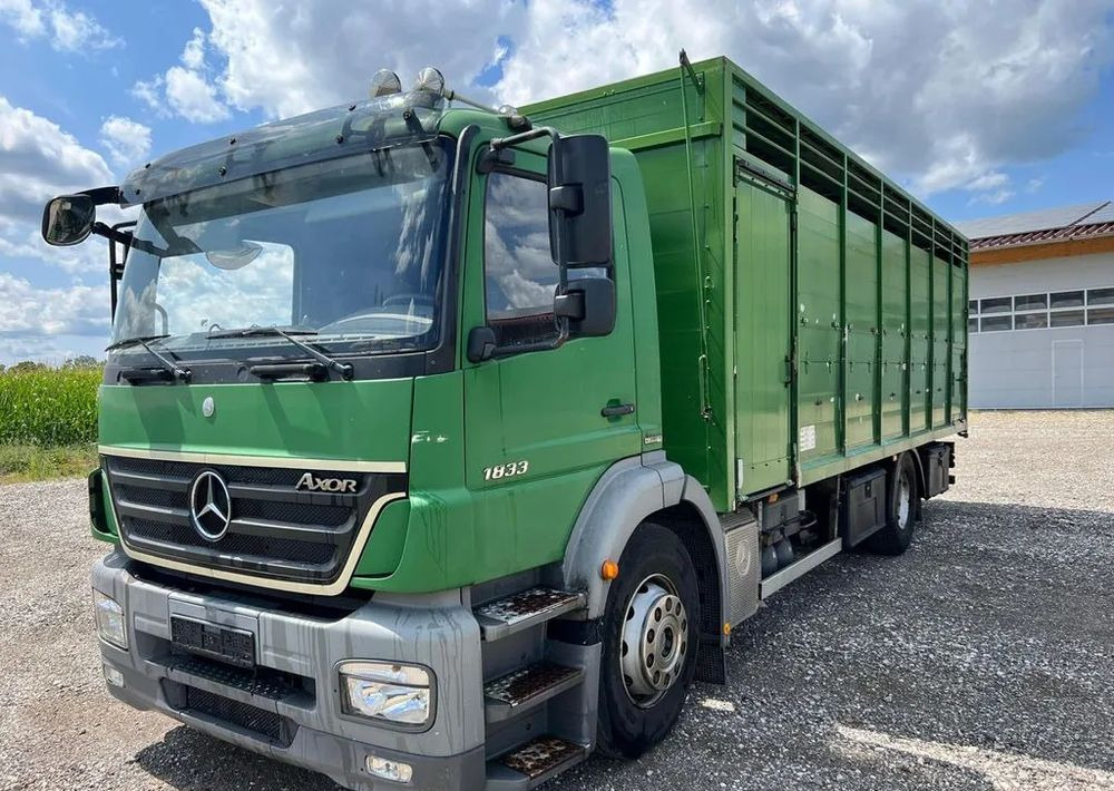Mercedes-Benz Axor 1833 6x2 | Samochód do transportu bydła | 2009 | 450 000 km - Для перевезення худоби вантажівка: фото 1 Mercedes-Benz Axor 1833 6x2 | Samochód do transportu bydła | 2009 | 450 000 km - Для перевезення худоби вантажівка: фото 1