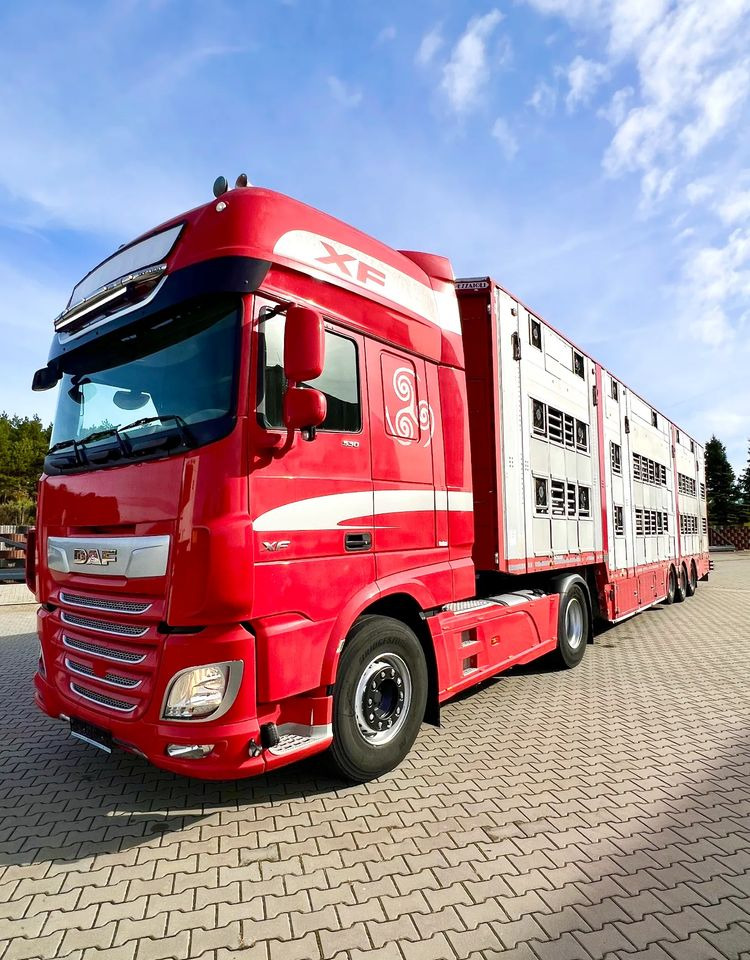 Pezzaioli NACZEPA 2017 / 3 POZIOMY / TRANSPORT ZWIERZĄT / HYDRAULIKA / STEROWANIE PILOTEM/ PODNOSZONY DACH / - Для перевезення худоби напівпричіп: фото 5 Pezzaioli NACZEPA 2017 / 3 POZIOMY / TRANSPORT ZWIERZĄT / HYDRAULIKA / STEROWANIE PILOTEM/ PODNOSZONY DACH / - Для перевезення худоби напівпричіп: фото 5