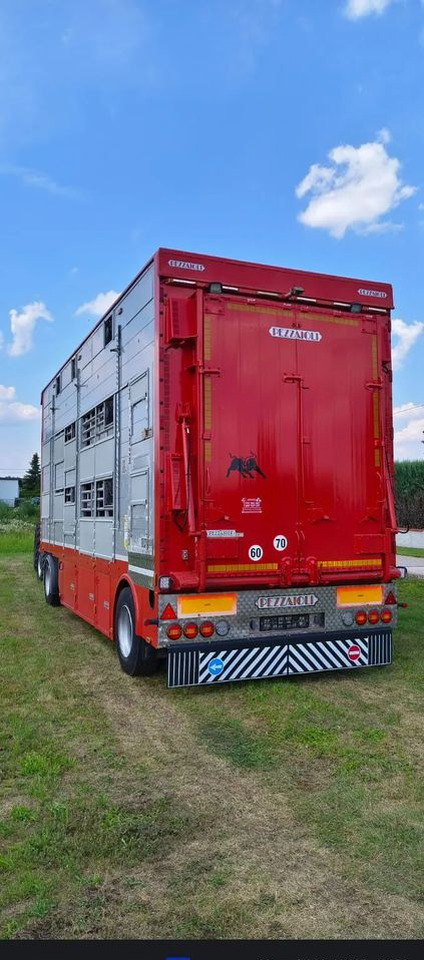 Pezzaioli RBA22 Dwuosiowa Przyczepa – 2x Bydło, 3x Trzoda – 2017r – Bezwypadkowa! - Для перевезення худоби причіп: фото 4 Pezzaioli RBA22 Dwuosiowa Przyczepa – 2x Bydło, 3x Trzoda – 2017r – Bezwypadkowa! - Для перевезення худоби причіп: фото 4