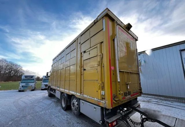 Volvo FH 420 • KABA • Transport Zwierząt 3xŚwinie/ 2xBydło 3-piętrowy • Euro 5 • Retarder • Oś podnoszona i skrętna - Для перевезення худоби вантажівка: фото 4 Volvo FH 420 • KABA • Transport Zwierząt 3xŚwinie/ 2xBydło 3-piętrowy • Euro 5 • Retarder • Oś podnoszona i skrętna - Для перевезення худоби вантажівка: фото 4