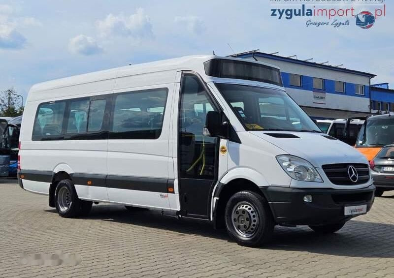 Мікроавтобус, Пасажирський фургон Mercedes-Benz SPRINTER 513: фото 1