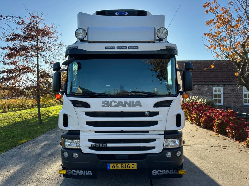 Scania P280 / NL TRUCK / EURO 6 / FULL AIR / CARRIER SUPRA 1250 / TOPCONDITION / LIFT+DOORS - Рефрижератор вантажівка: фото 2 Scania P280 / NL TRUCK / EURO 6 / FULL AIR / CARRIER SUPRA 1250 / TOPCONDITION / LIFT+DOORS - Рефрижератор вантажівка: фото 2