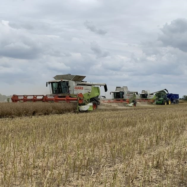 Grain Saver Grain Saver Chaser Bin *Hire* *Video Below* - Сільськогосподарський причіп: фото 4 Grain Saver Grain Saver Chaser Bin *Hire* *Video Below* - Сільськогосподарський причіп: фото 4
