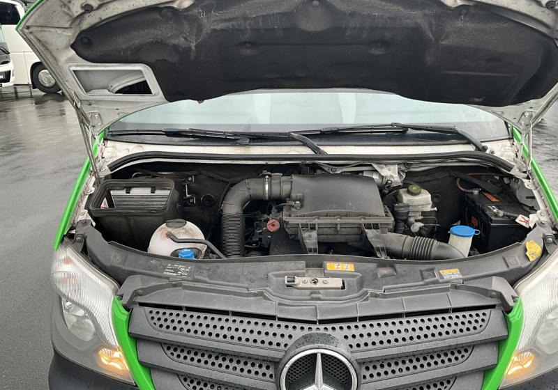 Мікроавтобус, Пасажирський фургон Mercedes-Benz Sprinter 314 Mobility: фото 9