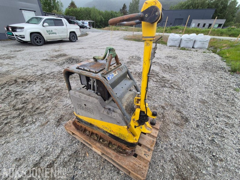 2012 Wacker Neuson DPU6555 / Hoppetusse / Vibroplate / Komprimator - Каток: фото 1 2012 Wacker Neuson DPU6555 / Hoppetusse / Vibroplate / Komprimator - Каток: фото 1