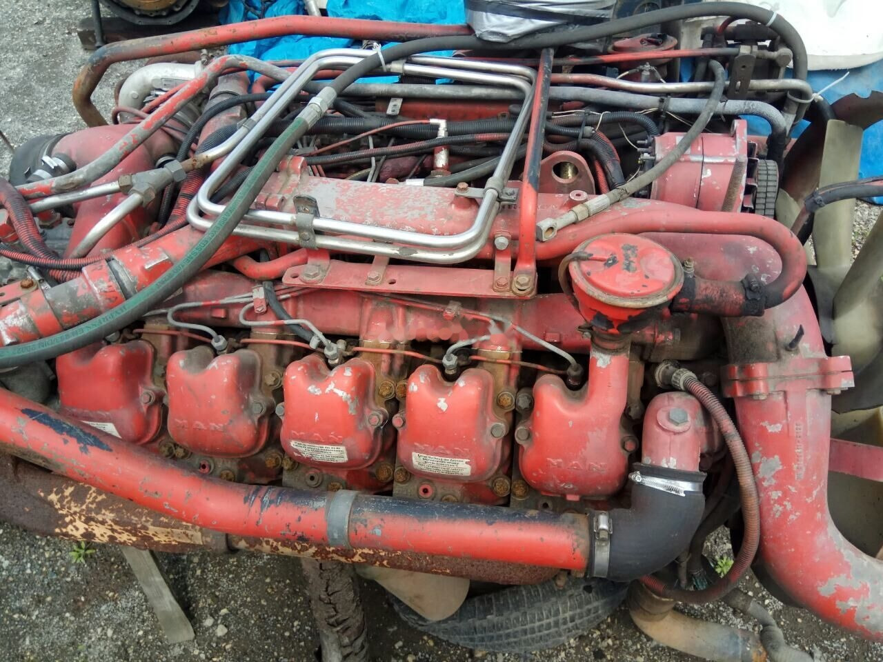 MAN D2840 LF01 MAN F 2000 - Двигун в категорії Вантажівки: фото 1 MAN D2840 LF01 MAN F 2000 - Двигун в категорії Вантажівки: фото 1