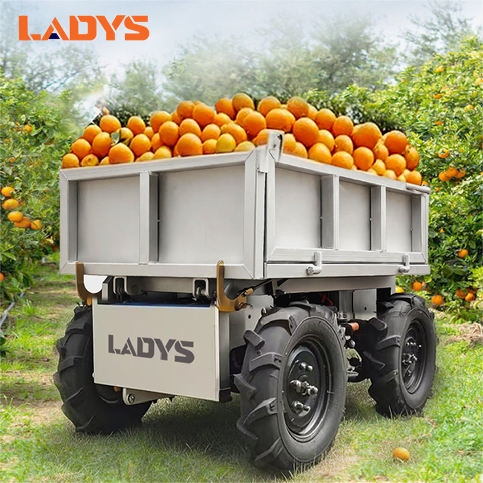 LADYS All-Terrain Four-Wheel Drive And Eight-Wheel Drive Transport Truck, Mountain Area Farm Orchard Greenhouse Construction Site Creeper Remote Control Electric Agricultural Transport Vehicle - Квадроцикл: фото 1 LADYS All-Terrain Four-Wheel Drive And Eight-Wheel Drive Transport Truck, Mountain Area Farm Orchard Greenhouse Construction Site Creeper Remote Control Electric Agricultural Transport Vehicle - Квадроцикл: фото 1