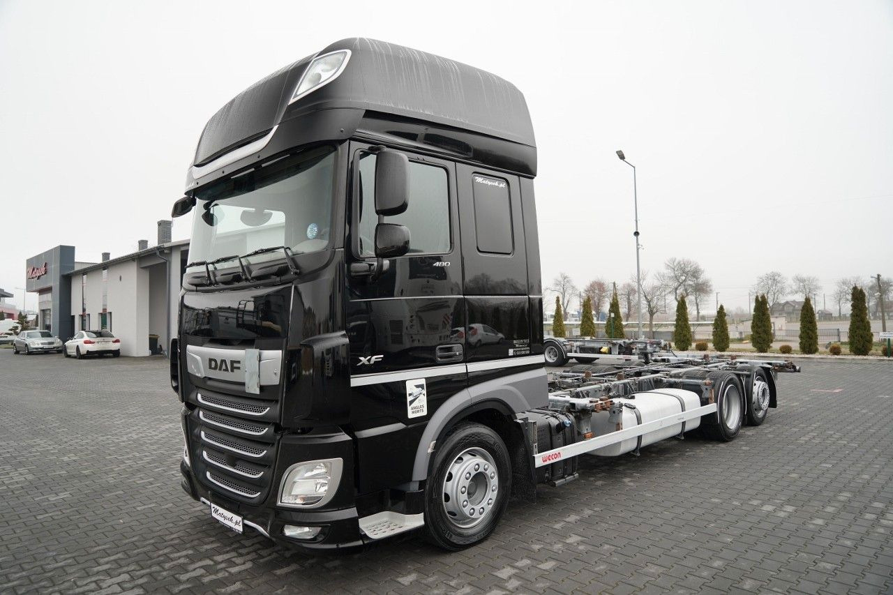 DAF XF 480 / BDF / 6X2 / / SSC / I-PARK COOL / OŚ P - Контейнеровоз/ Змінний кузов вантажівка: фото 2 DAF XF 480 / BDF / 6X2 / / SSC / I-PARK COOL / OŚ P - Контейнеровоз/ Змінний кузов вантажівка: фото 2