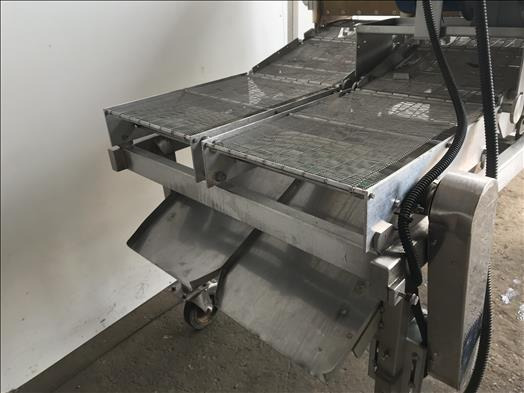 Обладнання для пекарні Sugden Twin lane fondant sheeter: фото 11