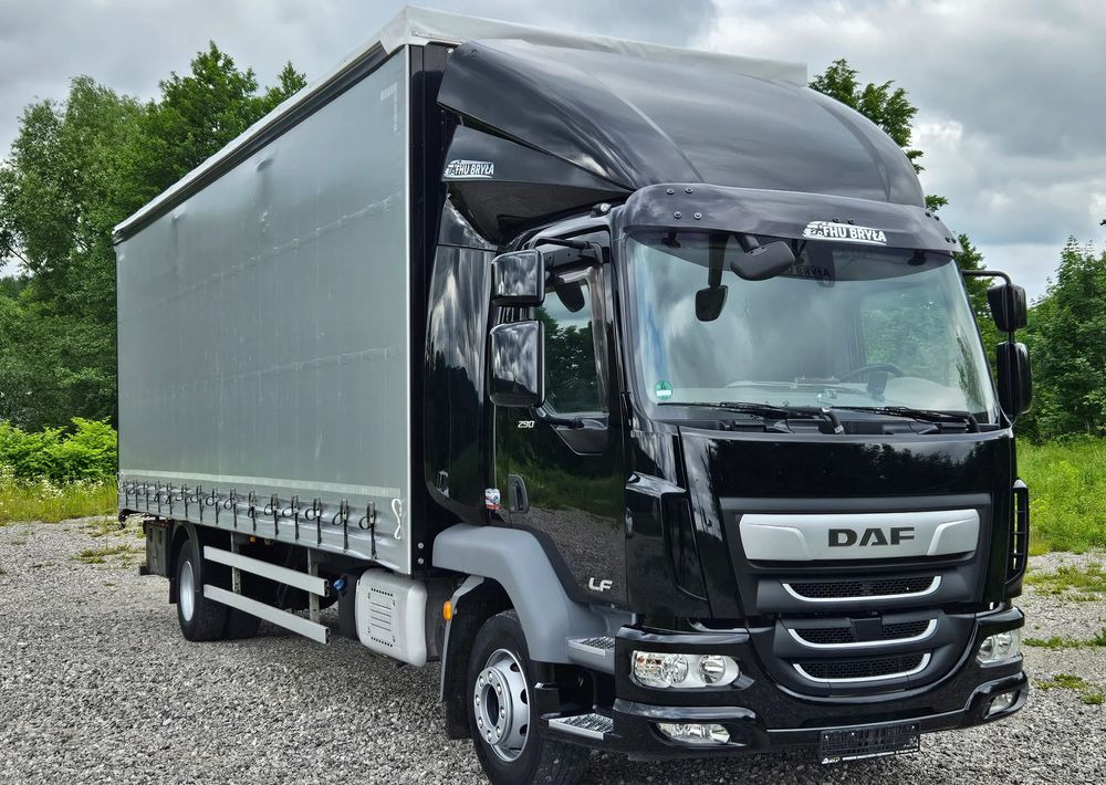 DAF LF 290 / WINDA / 16TON DMC / FIRANKA / AUTOMAT / JEDEN WŁAŚCICIE / EURO 6 / 2019 / SPROWADZONY / 20PALET / NISKI PRZEBIEG / DUŻA ŁADOWNOŚĆ / JAK NOWY - Тентована вантажівка: фото 3 DAF LF 290 / WINDA / 16TON DMC / FIRANKA / AUTOMAT / JEDEN WŁAŚCICIE / EURO 6 / 2019 / SPROWADZONY / 20PALET / NISKI PRZEBIEG / DUŻA ŁADOWNOŚĆ / JAK NOWY - Тентована вантажівка: фото 3
