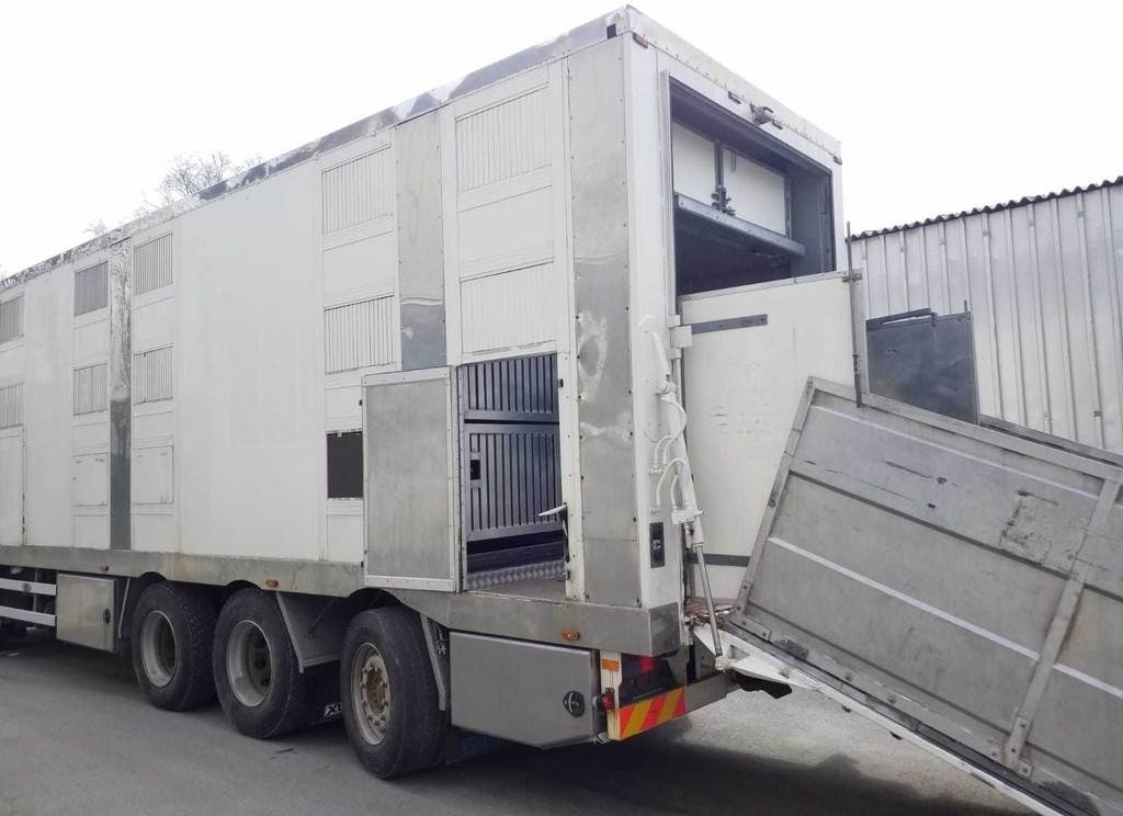 MAN TGX 35.540 8X4 TRIDEM ANIMAL - Для перевезення худоби вантажівка: фото 5 MAN TGX 35.540 8X4 TRIDEM ANIMAL - Для перевезення худоби вантажівка: фото 5