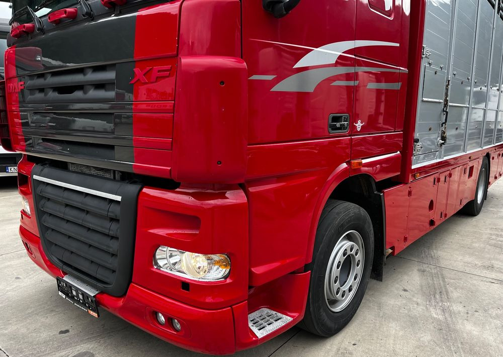 DAF XF 105.460 Euro 5 // Manual // Retarder // Do Żywca / Bydła / Zwierząt / - Для перевезення худоби вантажівка: фото 4 DAF XF 105.460 Euro 5 // Manual // Retarder // Do Żywca / Bydła / Zwierząt / - Для перевезення худоби вантажівка: фото 4
