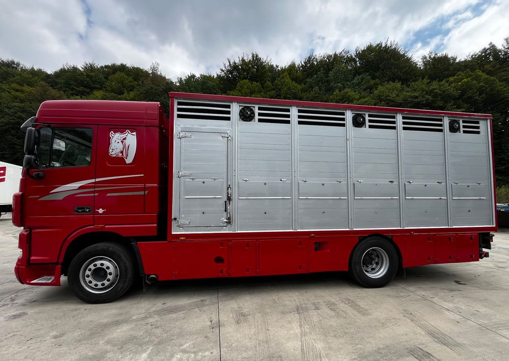 DAF XF 105.460 Euro 5 // Manual // Retarder // Do Żywca / Bydła / Zwierząt / - Для перевезення худоби вантажівка: фото 5 DAF XF 105.460 Euro 5 // Manual // Retarder // Do Żywca / Bydła / Zwierząt / - Для перевезення худоби вантажівка: фото 5
