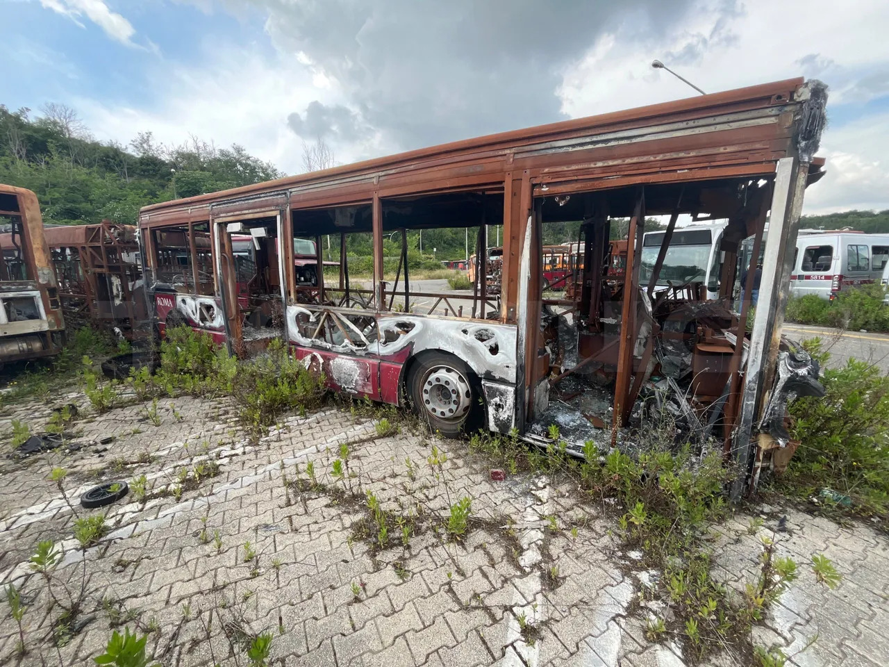 Bundle di 7 mezzi Iveco - Citelis Iveco - Citelis Iveco - Citelis Iveco - Citelis Iveco - Citelis Iveco - Citelis Iveco - Citelis - Міський автобус: фото 3 Bundle di 7 mezzi Iveco - Citelis Iveco - Citelis Iveco - Citelis Iveco - Citelis Iveco - Citelis Iveco - Citelis Iveco - Citelis - Міський автобус: фото 3