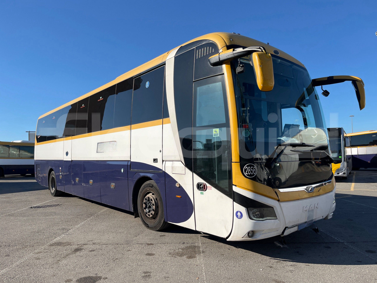 Man Lion's Coach - Туристичний автобус: фото 1 Man Lion's Coach - Туристичний автобус: фото 1