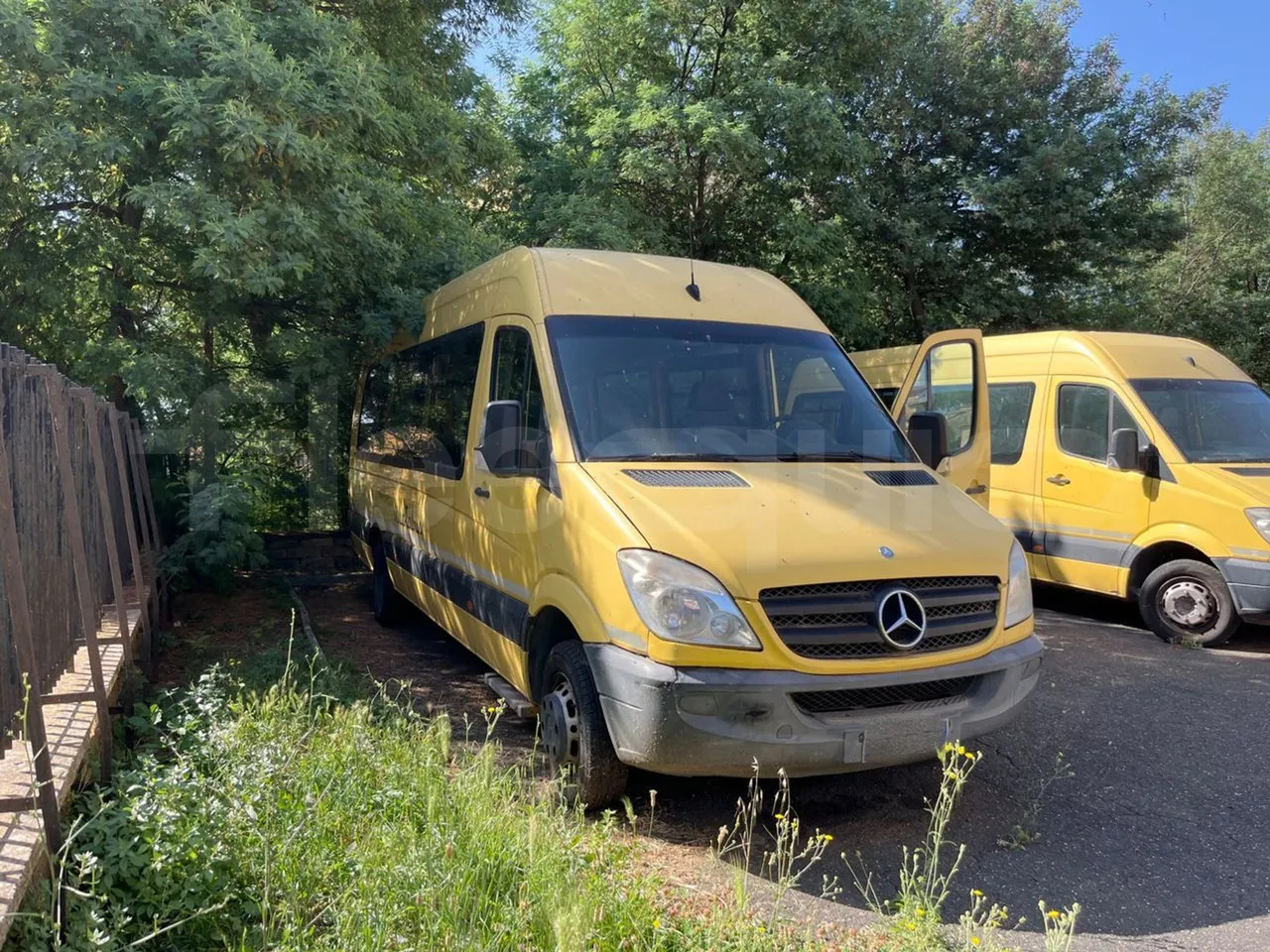 Mercedes-Benz Sprinter - Шкільний автобус: фото 1 Mercedes-Benz Sprinter - Шкільний автобус: фото 1