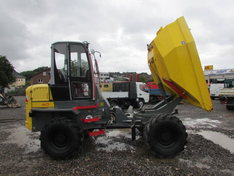 WACKER NEUSON DW 60 Dumper 32.500 EUR - Самоскид: фото 5 WACKER NEUSON DW 60 Dumper 32.500 EUR - Самоскид: фото 5