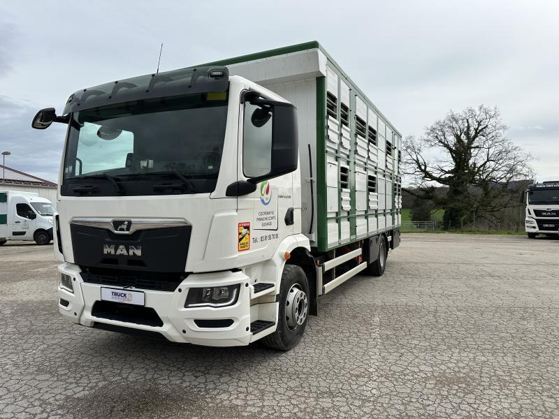 MAN M 90 15.290 TGM - Для перевезення худоби вантажівка: фото 1 MAN M 90 15.290 TGM - Для перевезення худоби вантажівка: фото 1