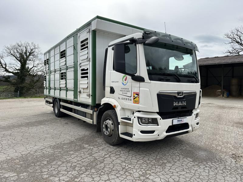 MAN M 90 15.290 TGM - Для перевезення худоби вантажівка: фото 2 MAN M 90 15.290 TGM - Для перевезення худоби вантажівка: фото 2