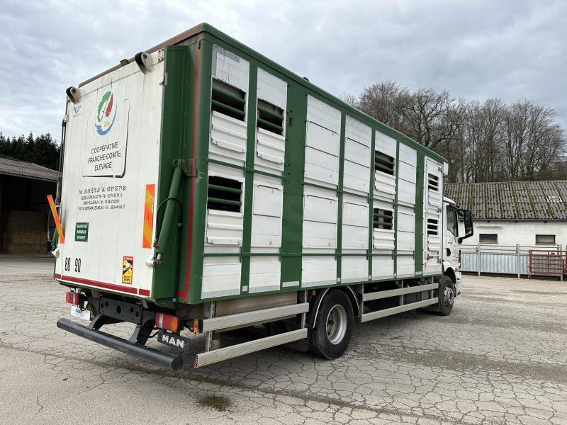 MAN M 90 15.290 TGM - Для перевезення худоби вантажівка: фото 5 MAN M 90 15.290 TGM - Для перевезення худоби вантажівка: фото 5