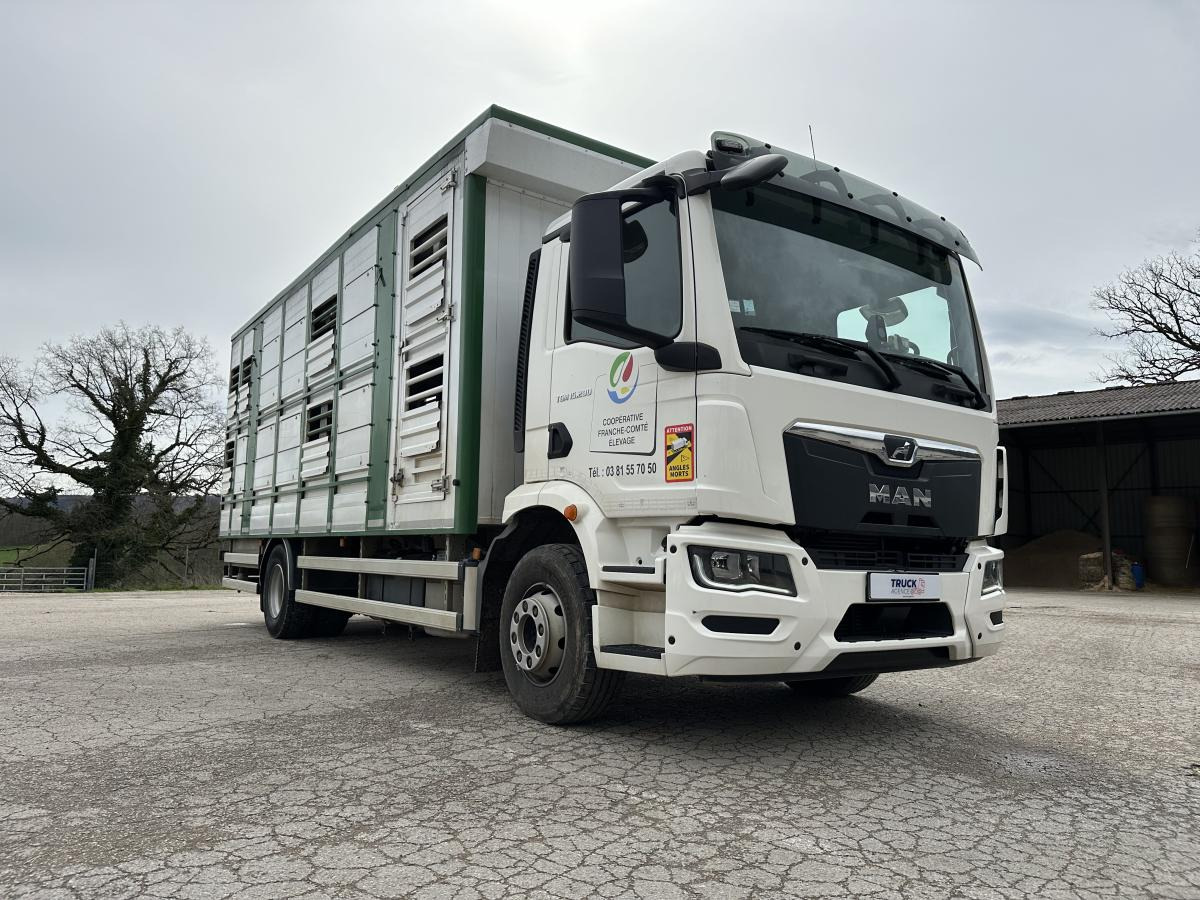 MAN TGM 15.290 - Для перевезення худоби вантажівка: фото 4 MAN TGM 15.290 - Для перевезення худоби вантажівка: фото 4