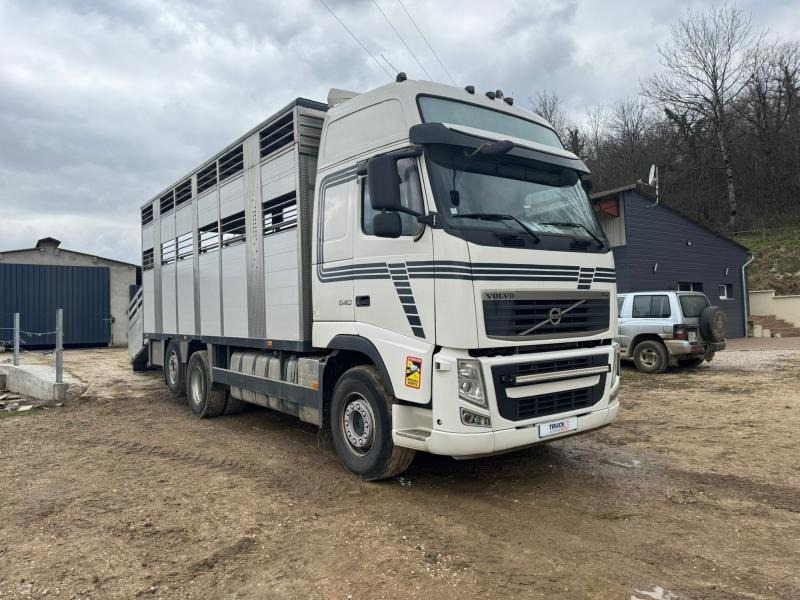 Volvo FH 540 - Для перевезення худоби вантажівка: фото 4 Volvo FH 540 - Для перевезення худоби вантажівка: фото 4