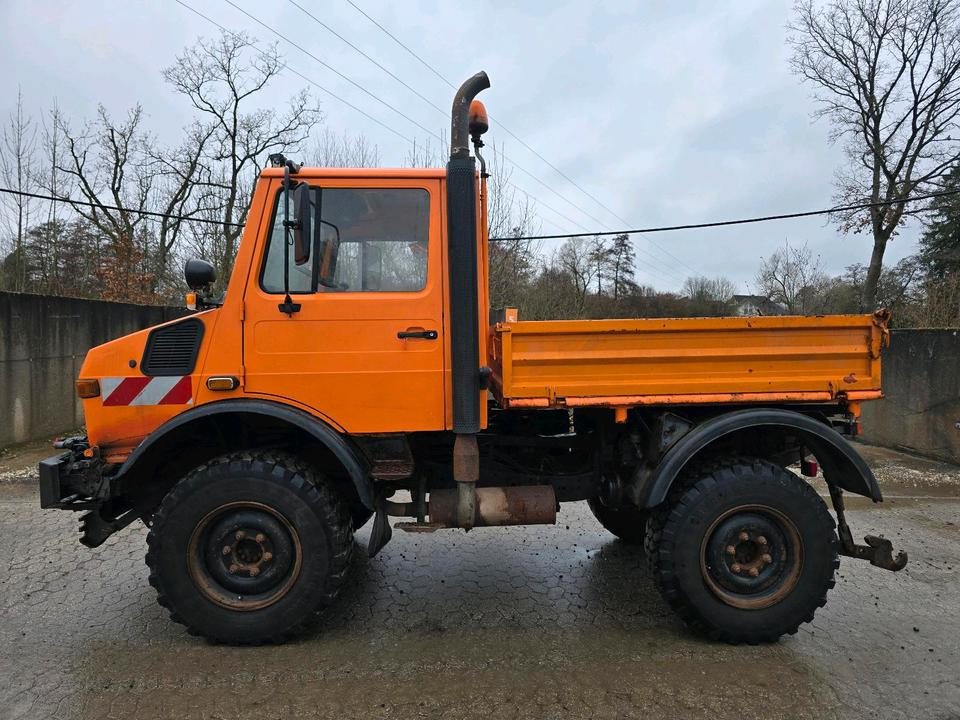 Unimog U1400 Agrar bj. 1995 424 427/10 Mercedes-Benz 1400 1600 1200 1000 - Самоскид вантажівка, Комунальна/ Спеціальна техніка: фото 5 Unimog U1400 Agrar bj. 1995 424 427/10 Mercedes-Benz 1400 1600 1200 1000 - Самоскид вантажівка, Комунальна/ Спеціальна техніка: фото 5