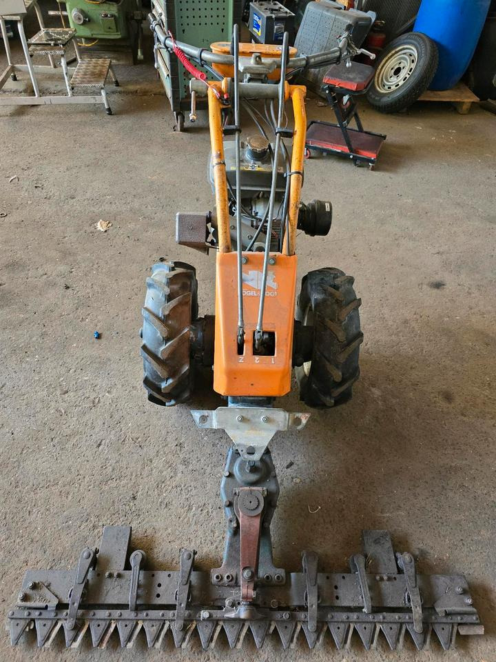 Vogel und Not Balkenmäher Hangmäher Böschungsmäher Mähbalken Rapid Reform Mulcher - Газонокосарка: фото 3 Vogel und Not Balkenmäher Hangmäher Böschungsmäher Mähbalken Rapid Reform Mulcher - Газонокосарка: фото 3