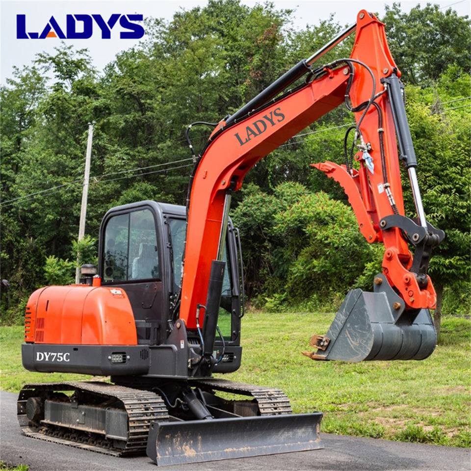 LADYS DY75C Small Excavator Euro 5/Epa Yanmar Engine Small Excavator Crawler Excavator For Sale - Гусеничний екскаватор: фото 4 LADYS DY75C Small Excavator Euro 5/Epa Yanmar Engine Small Excavator Crawler Excavator For Sale - Гусеничний екскаватор: фото 4